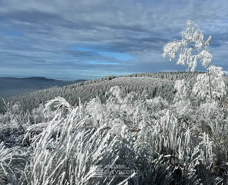 Paysage hivernal inspirant le froid